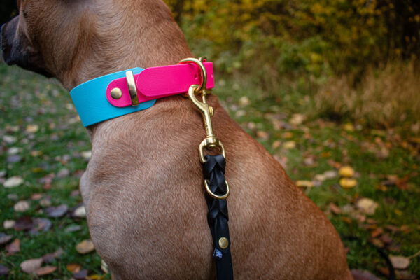 Accdog Biothane® City Koppel 13 mm Koppel Wonder Collars