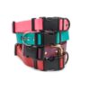 Accdog Biothane® Halsband Med Duraflex® 25 mm Halsband Wonder Collars