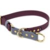 Accdog Biothane® Rainbow Halvstryp Halsband 19 mm Halsband Wonder Collars