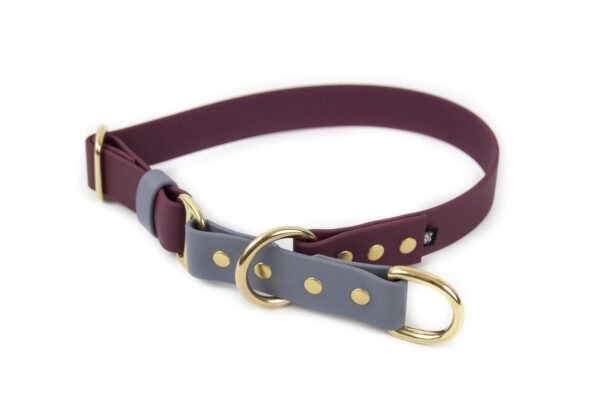 Accdog Biothane® Rainbow Halvstryp Halsband 19 mm Halsband Wonder Collars