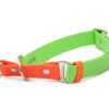 Accdog Biothane® Rainbow Halvstryp Halsband 25 mm Halsband Wonder Collars