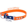 Accdog Biothane® Rainbow Halvstryp Halsband 25 mm Halsband Wonder Collars