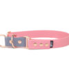 Accdog Biothane® Rainbow Halvstryp Halsband 25 mm Halsband Wonder Collars