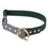 Accdog Biothane® Rainbow Halvstryp Halsband 25 mm Halsband Wonder Collars