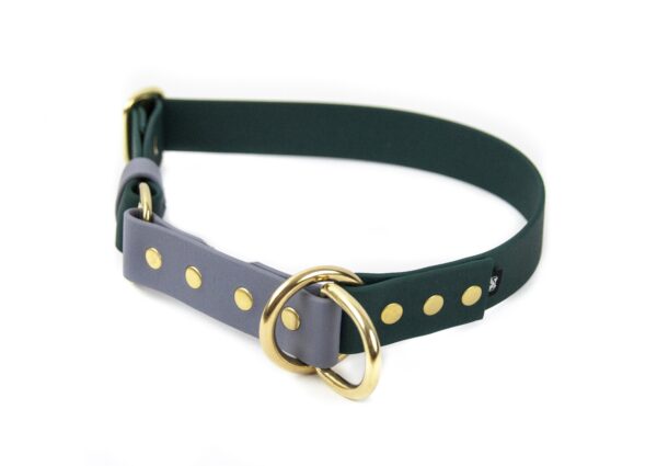 Accdog Biothane® Rainbow Halvstryp Halsband 25 mm Halsband Wonder Collars