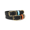 Accdog Biothane® Rainbow Halsband 25 mm Halsband Wonder Collars