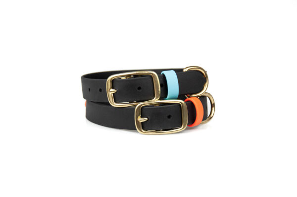 Accdog Biothane® Rainbow Halsband 25 mm Halsband Wonder Collars