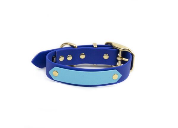 Accdog Biothane® Rainbow Halsband 25 mm Halsband Wonder Collars