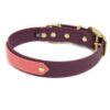 Accdog Biothane® Rainbow Halsband 25 mm Halsband Wonder Collars