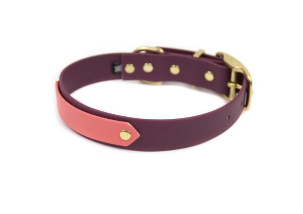 Accdog Biothane® Rainbow Halsband 25 mm Halsband Wonder Collars