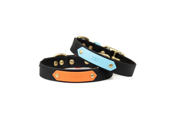 Accdog Biothane® Rainbow Halsband 25 mm Halsband Wonder Collars