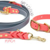 Accdog Biothane® Rainbow Justerbart Koppel 13 mm Koppel Wonder Collars