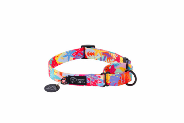 Warsaw Dog Martingale 50 mm Halsband Wonder Collars