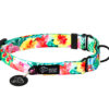 Warsaw Dog Martingale 50 mm Halsband Wonder Collars