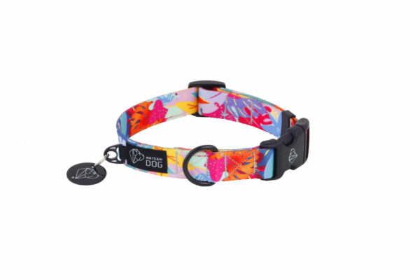 Warsaw Dog Duraflex ® Buckle 35 mm Halsband Wonder Collars