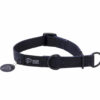 Warsaw Dog Halvstryp 50 mm Halsband Wonder Collars