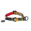 Warsaw Dog Halvstryp 50 mm Halsband Wonder Collars