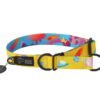 Warsaw Dog Halvstryp 50 mm Halsband Wonder Collars