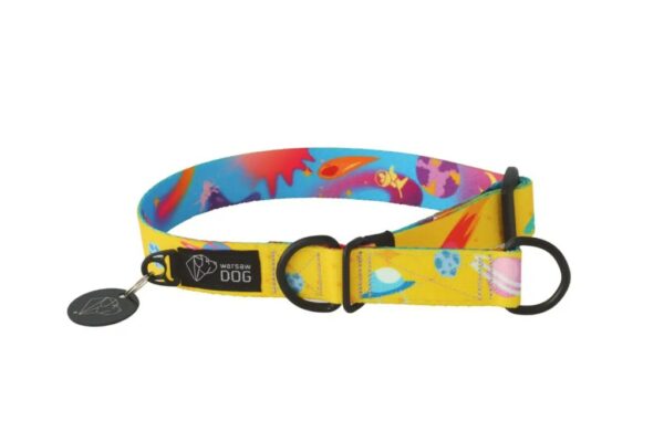 Warsaw Dog Halvstryp 50 mm Halsband Wonder Collars