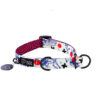 Warsaw Dog Halvstryp 50 mm Halsband Wonder Collars