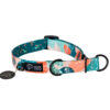 Warsaw Dog Halvstryp 50 mm Halsband Wonder Collars