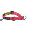 Warsaw Dog Halvstryp 50 mm Halsband Wonder Collars