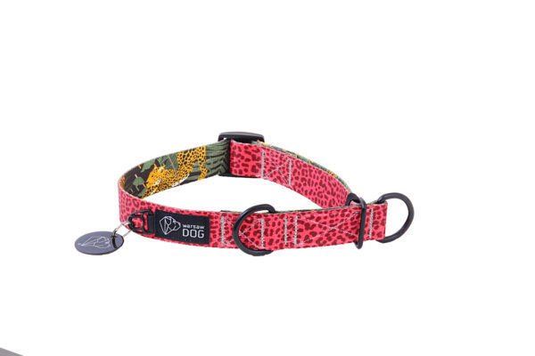 Warsaw Dog Halvstryp 50 mm Halsband Wonder Collars