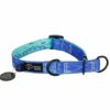 Warsaw Dog Halvstryp 50 mm Halsband Wonder Collars