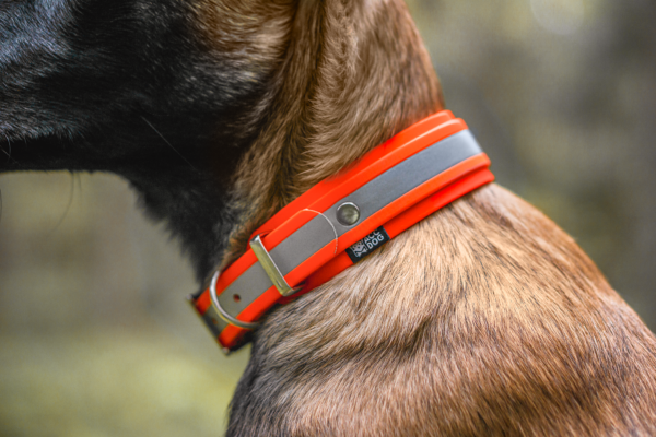 Accdog Biothane® Reflex Greyhound Halsband 38 mm Halsband Wonder Collars