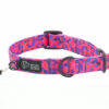 Warsaw Dog Halvstryp 20 mm Halsband Wonder Collars