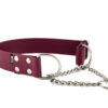 Accdog Biothane® Martingale Med Kedja 38 mm Halsband Wonder Collars