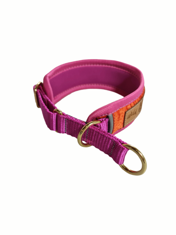 Wild Woof Comfort Halvstryp 55 mm Halsband Wonder Collars