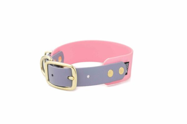 Accdog Biothane® Rainbow Greyhound Halsband 25 mm Halsband Wonder Collars