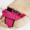 Finnero Ballerina Spets Tikskydd Rosa Hundkläder Wonder Collars