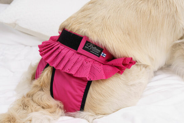 Finnero Ballerina Spets Tikskydd Rosa Hundkläder Wonder Collars