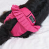 Finnero Ballerina Spets Tikskydd Rosa Hundkläder Wonder Collars