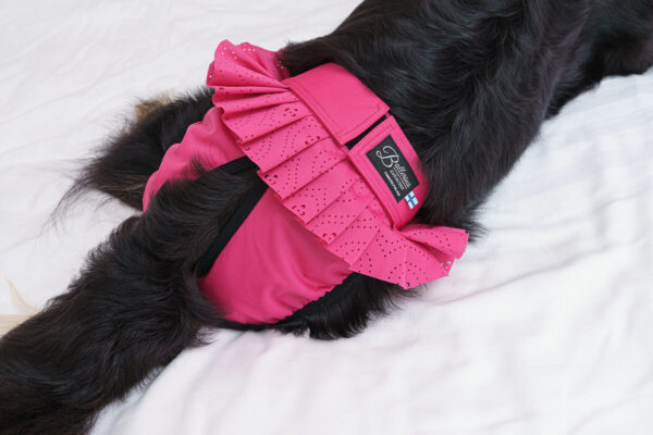 Finnero Ballerina Spets Tikskydd Rosa Hundkläder Wonder Collars