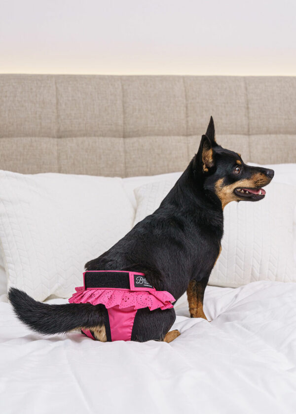 Finnero Ballerina Spets Tikskydd Rosa Hundkläder Wonder Collars