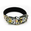 El Perro Funny Collection Halsband 40 mm Halsband Wonder Collars