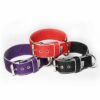 El Perro Halsband 50 mm Halsband Wonder Collars