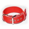 El Perro Halsband 50 mm Halsband Wonder Collars