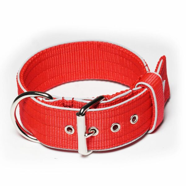 El Perro Halsband 50 mm Halsband Wonder Collars