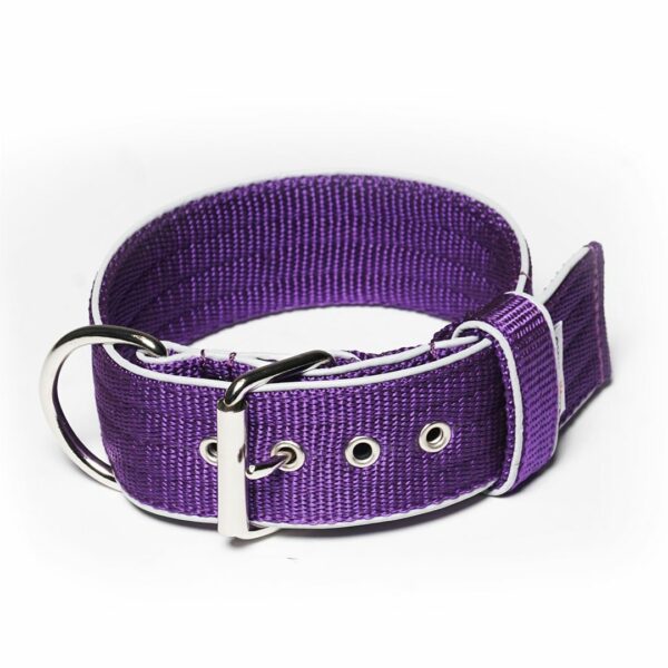 El Perro Halsband 50 mm Halsband Wonder Collars