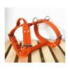 Triple Sele 50 mm Selar Wonder Collars