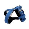 El Perro Sele 20-25 mm Selar Wonder Collars