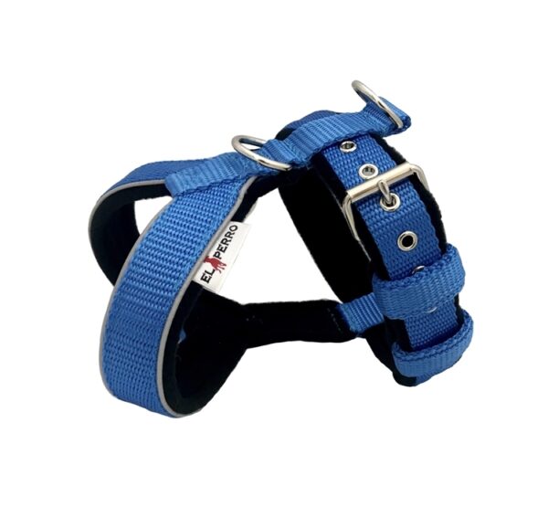 El Perro Sele 20-25 mm Selar Wonder Collars