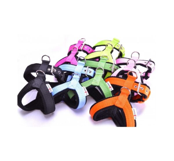 El Perro Sele 20-25 mm Selar Wonder Collars