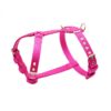 El Perro Sele 20-25 mm Selar Wonder Collars