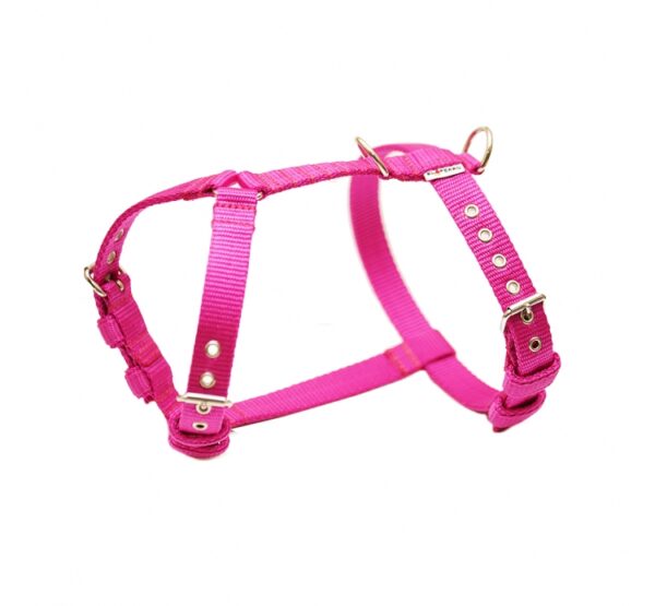 El Perro Sele 20-25 mm Selar Wonder Collars