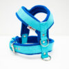 El Perro Sele 20-25 mm Selar Wonder Collars